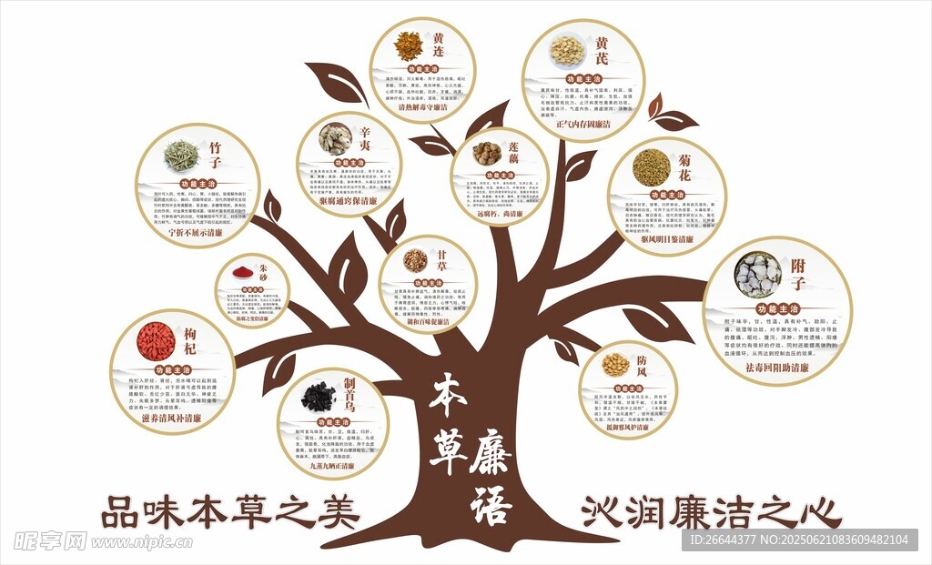 清廉本草中医树状图