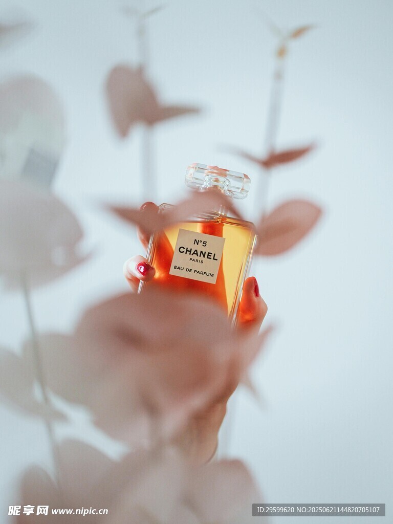 红叶间的精致小火车