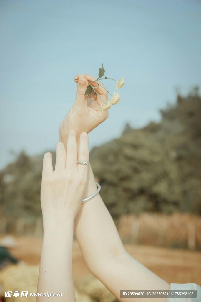 手托小花展现自然美好