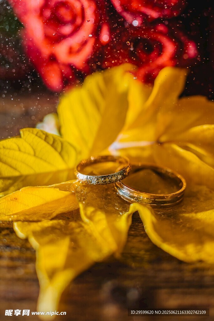 黄枫叶上的浪漫婚戒