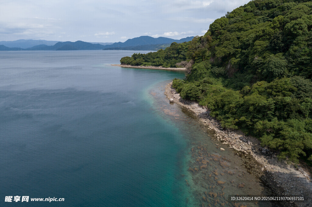 海岸边的翠绿风光