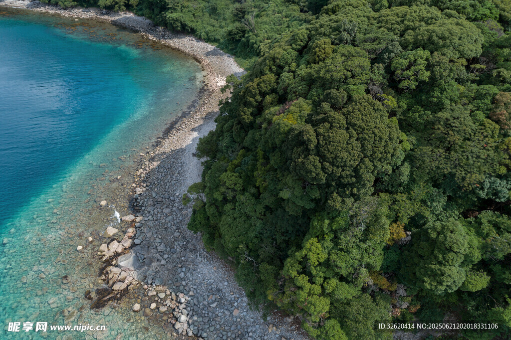 海岸绿树环绕的碧蓝水域