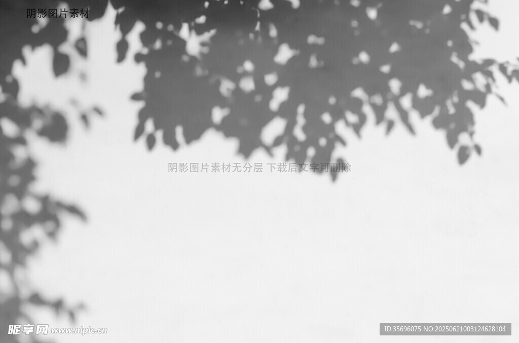 树影斑驳映于灰白背景