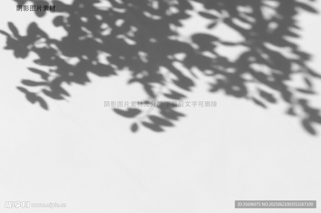 树叶阴影映于白墙