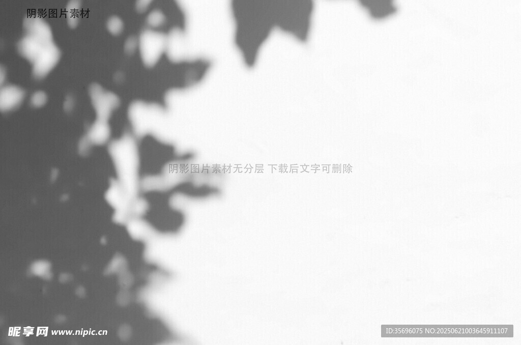 树影斑驳映于灰白背景