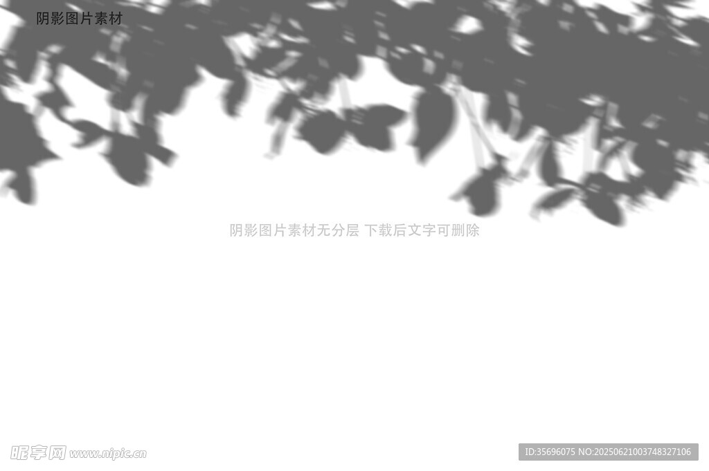枝叶剪影