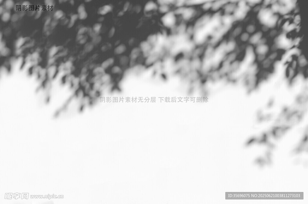枝叶掩映下的朦胧景致