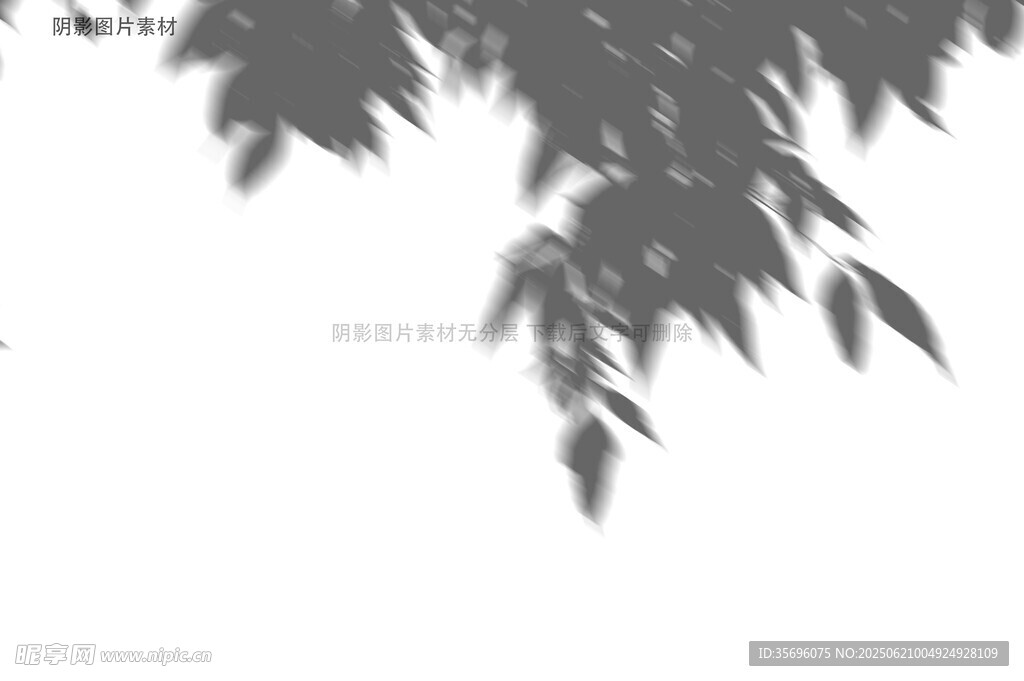 枝叶剪影