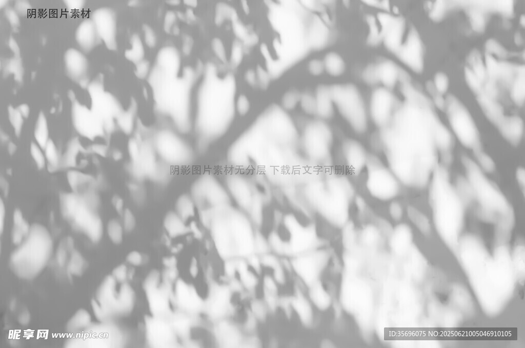 树影斑驳的光影画面