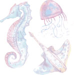 梦幻海洋生物水彩插画