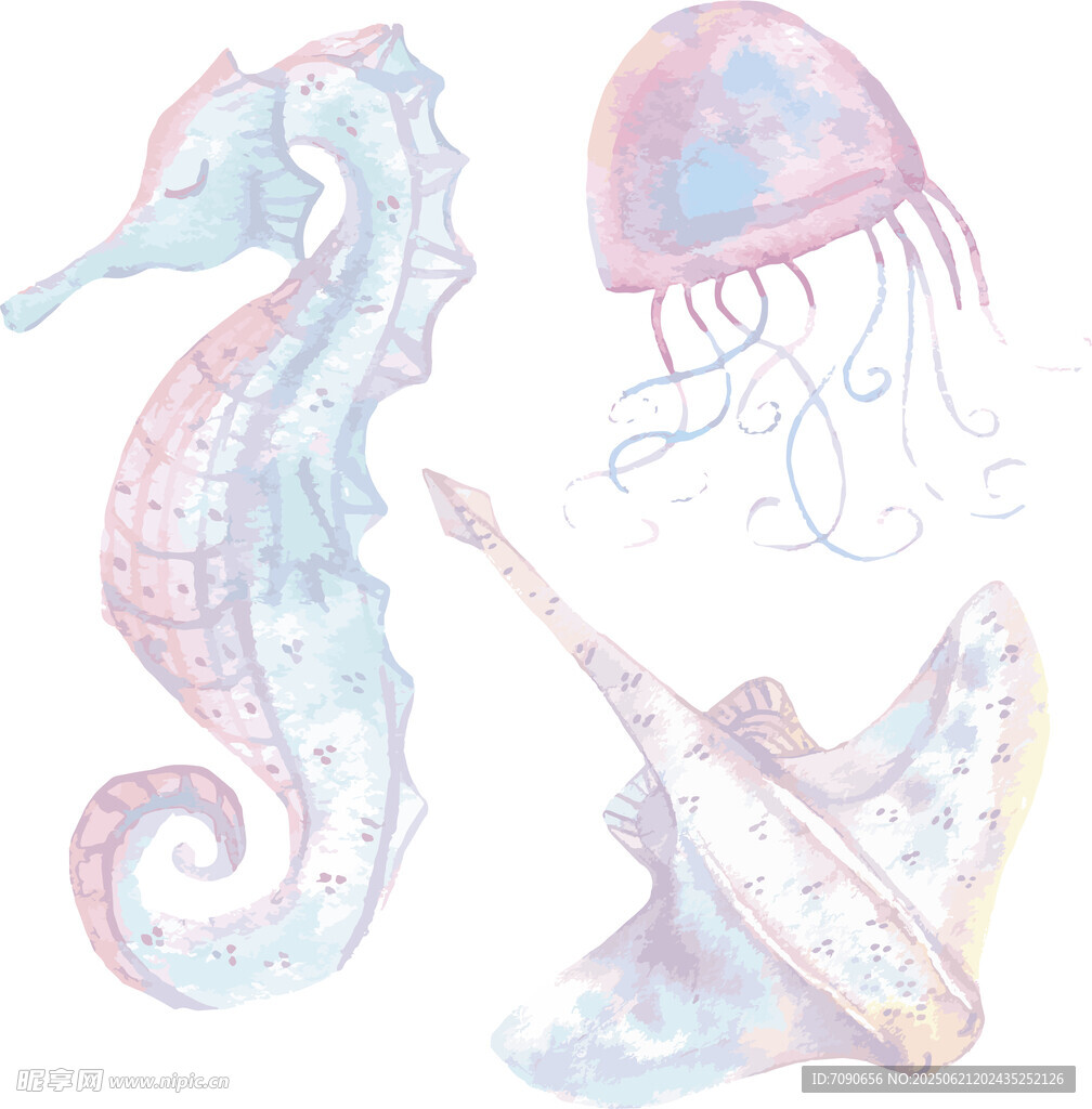 梦幻海洋生物水彩插画