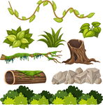 多样植物 