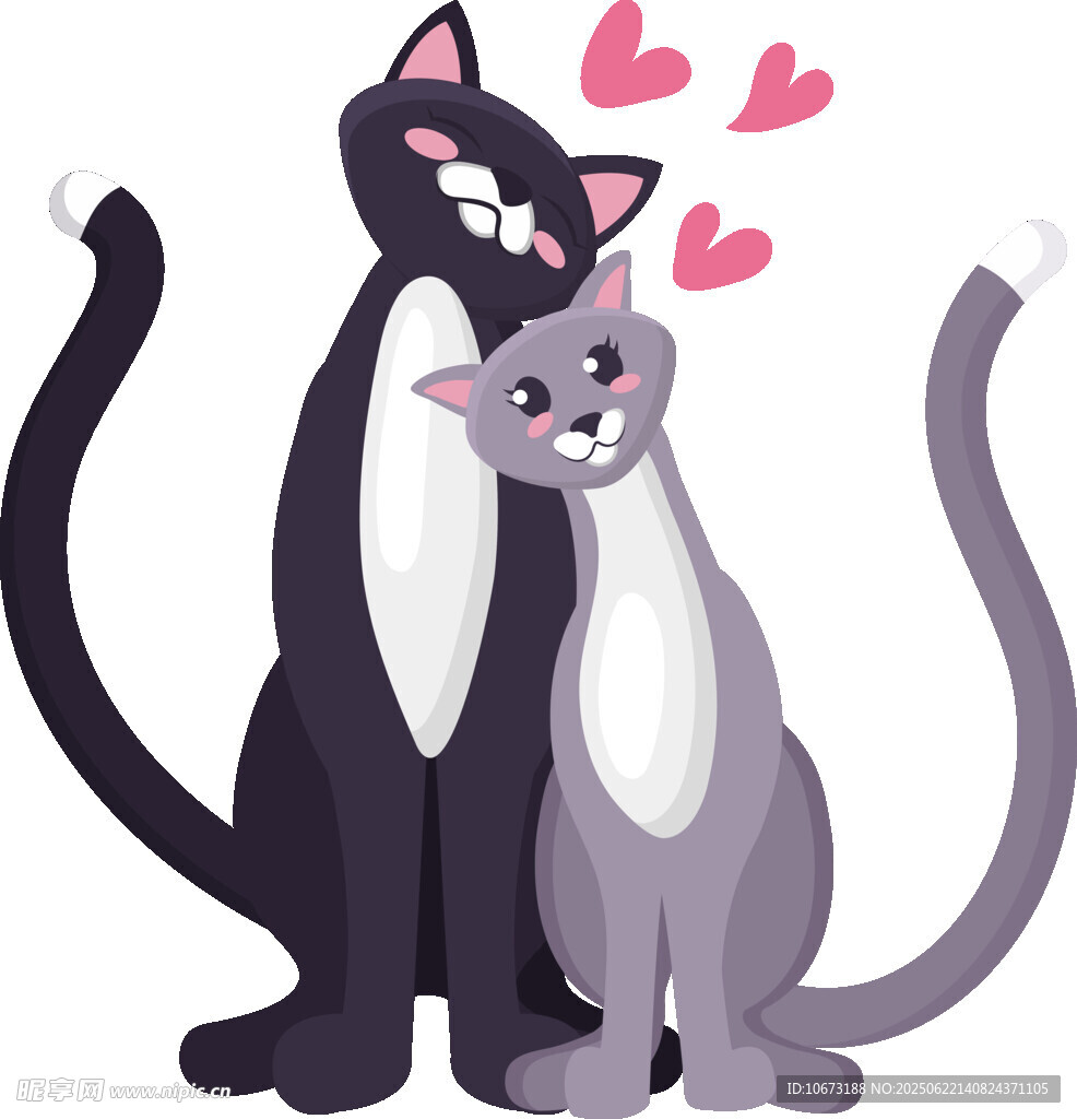 依偎的猫咪情侣