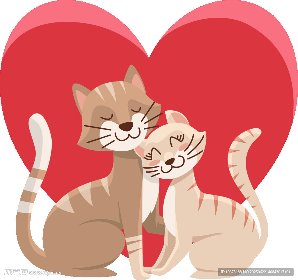 依偎的猫咪情侣