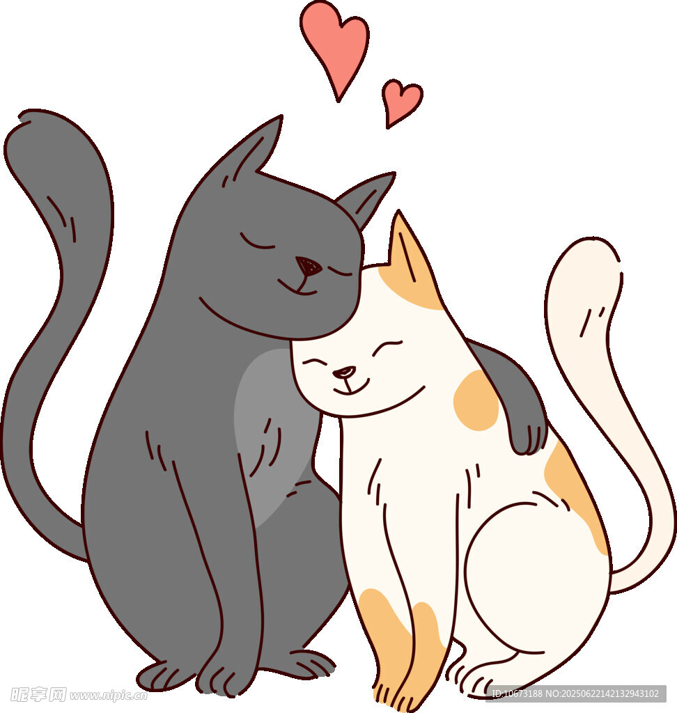 依偎的猫咪情侣