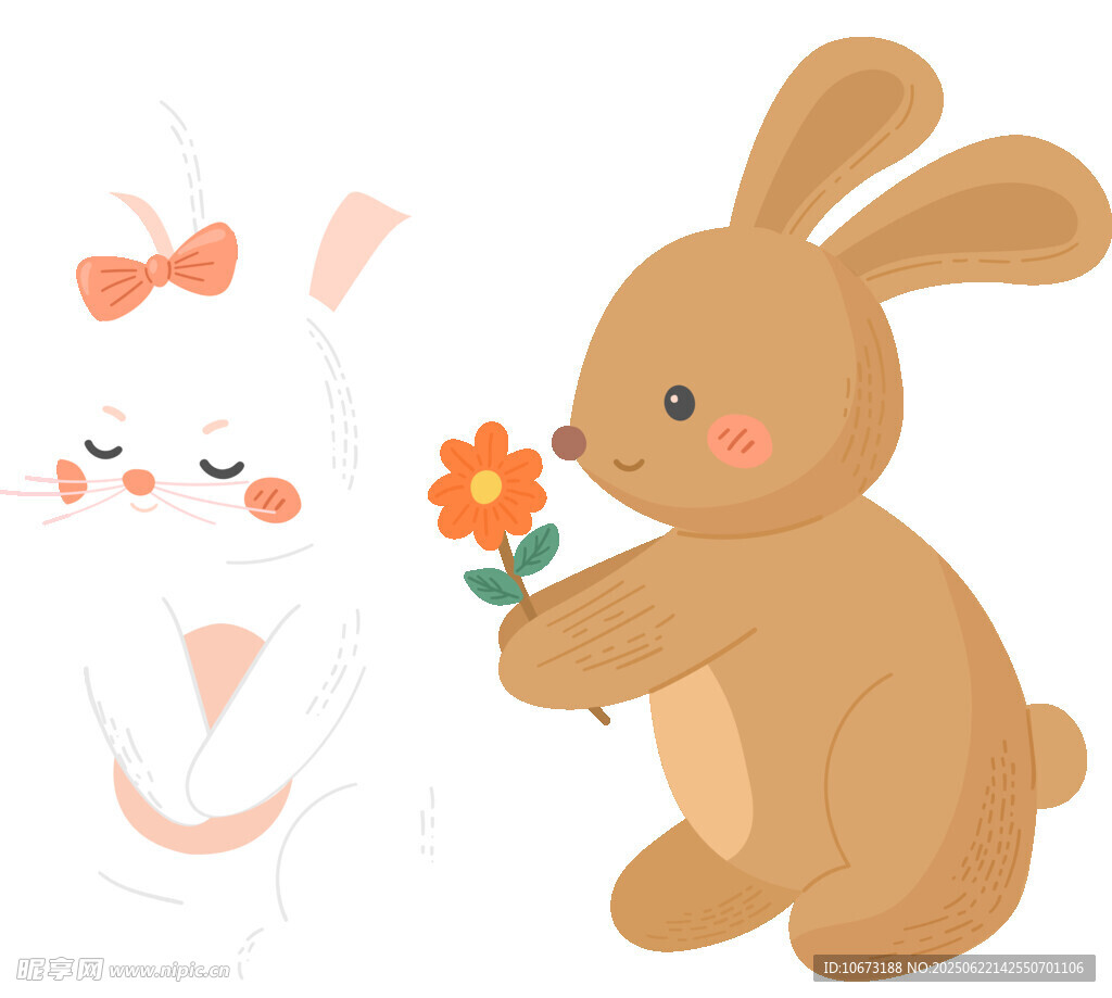 棕兔献花给白兔