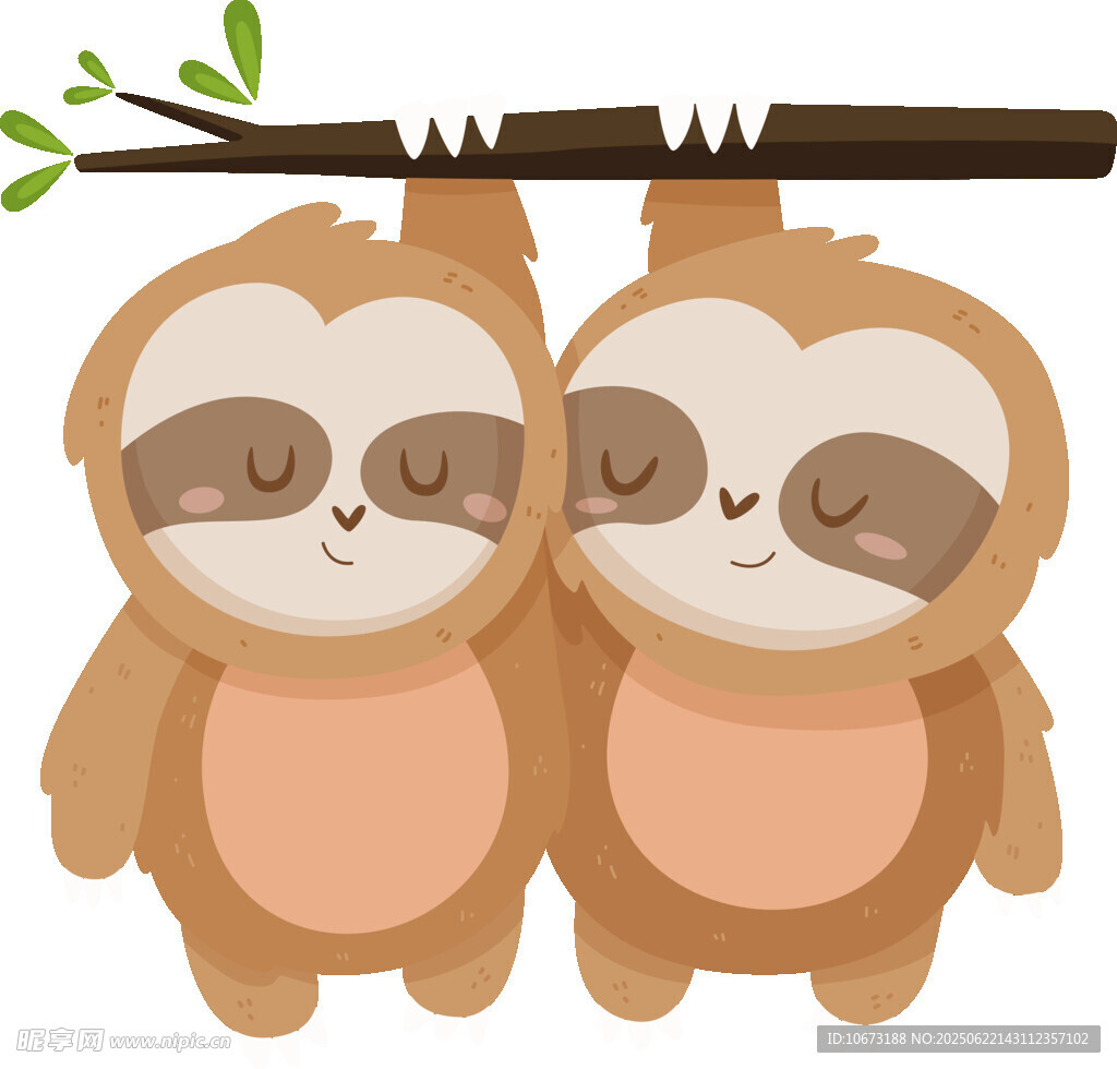 依偎的树懒