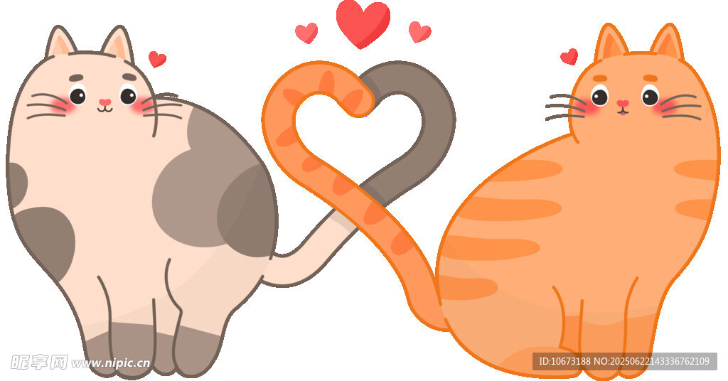 两只猫咪尾巴组成爱心