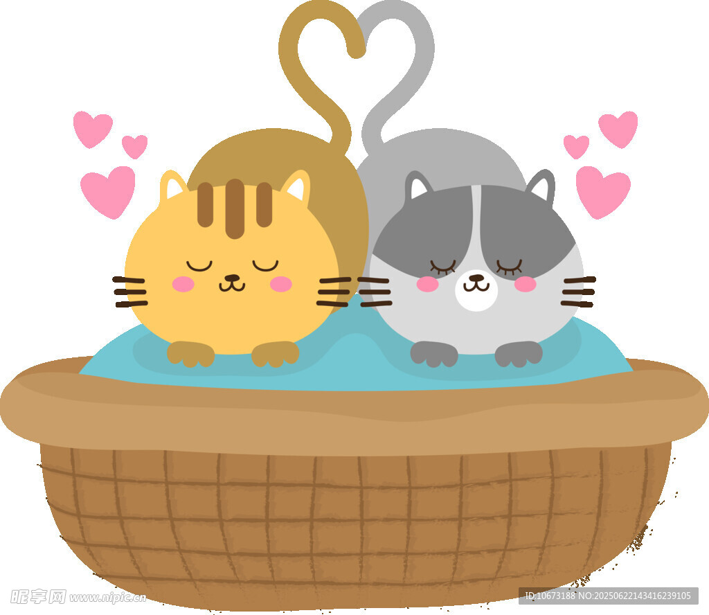 篮子里的可爱猫咪