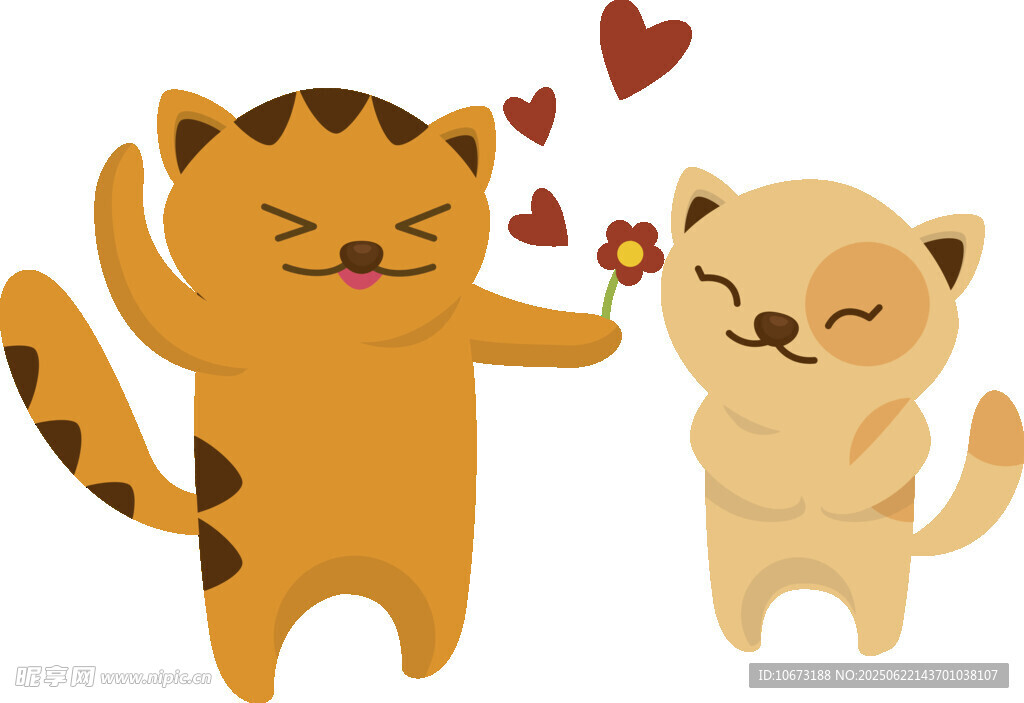 甜蜜猫咪情侣互动瞬间