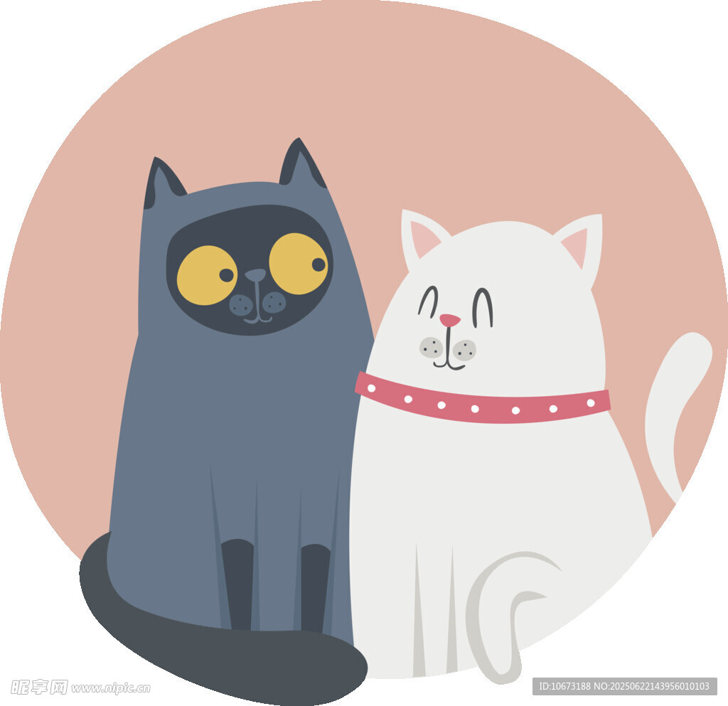 两只可爱猫咪的温馨画面
