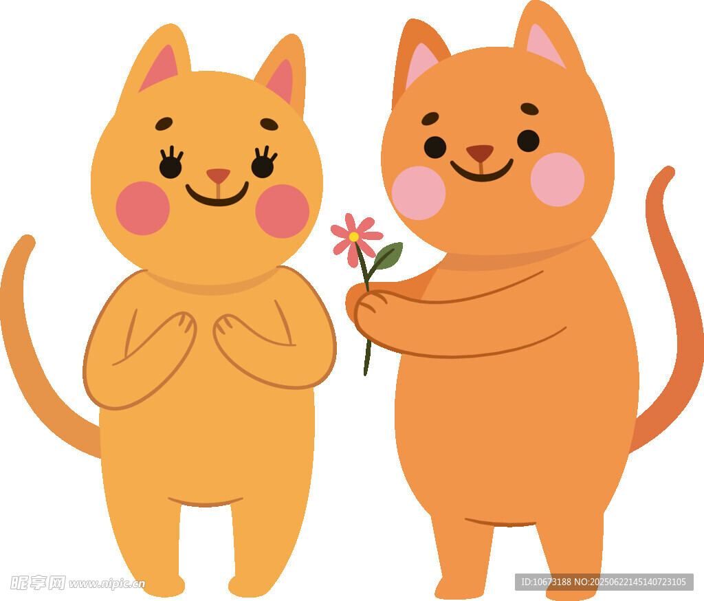 两只萌猫的温馨送花时刻