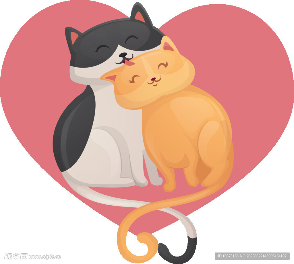 依偎的猫咪情侣