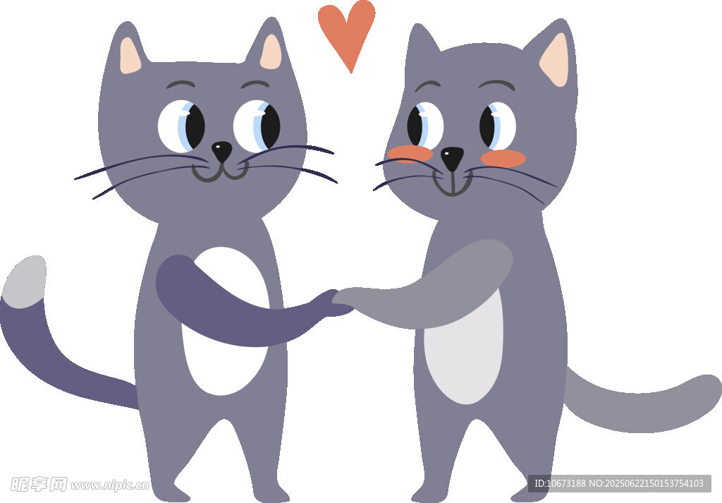 甜蜜猫咪情侣牵手瞬间