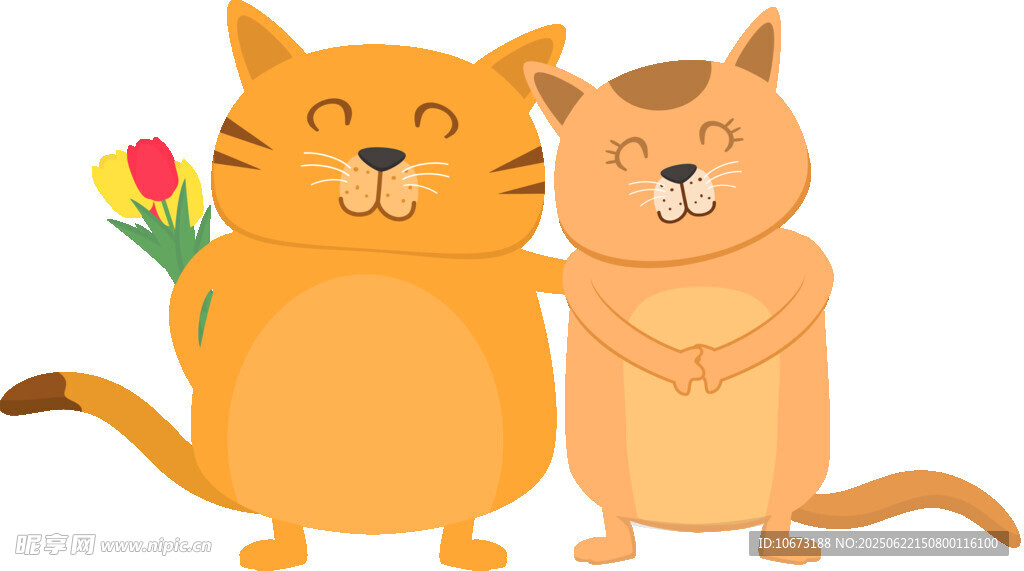 两只猫咪的温馨时刻