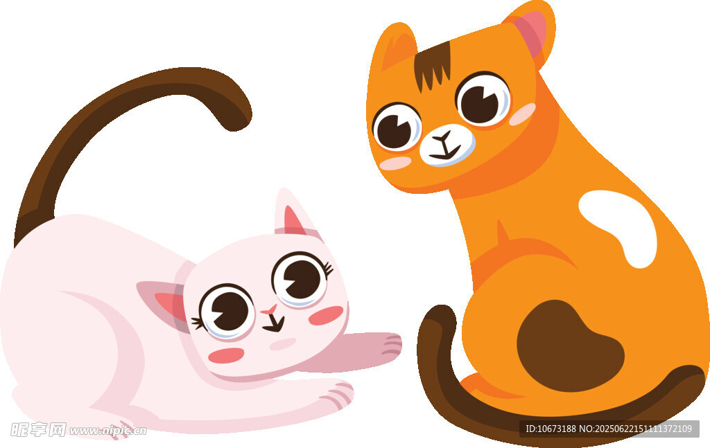 两只可爱猫咪温馨相伴