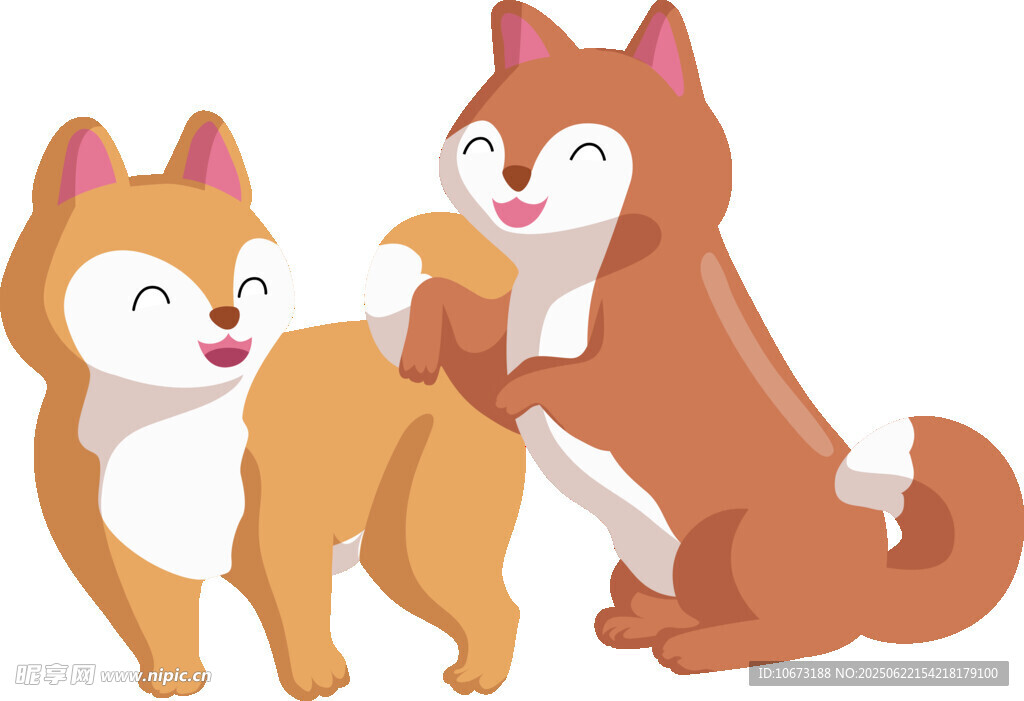 两只萌趣柴犬互动瞬间