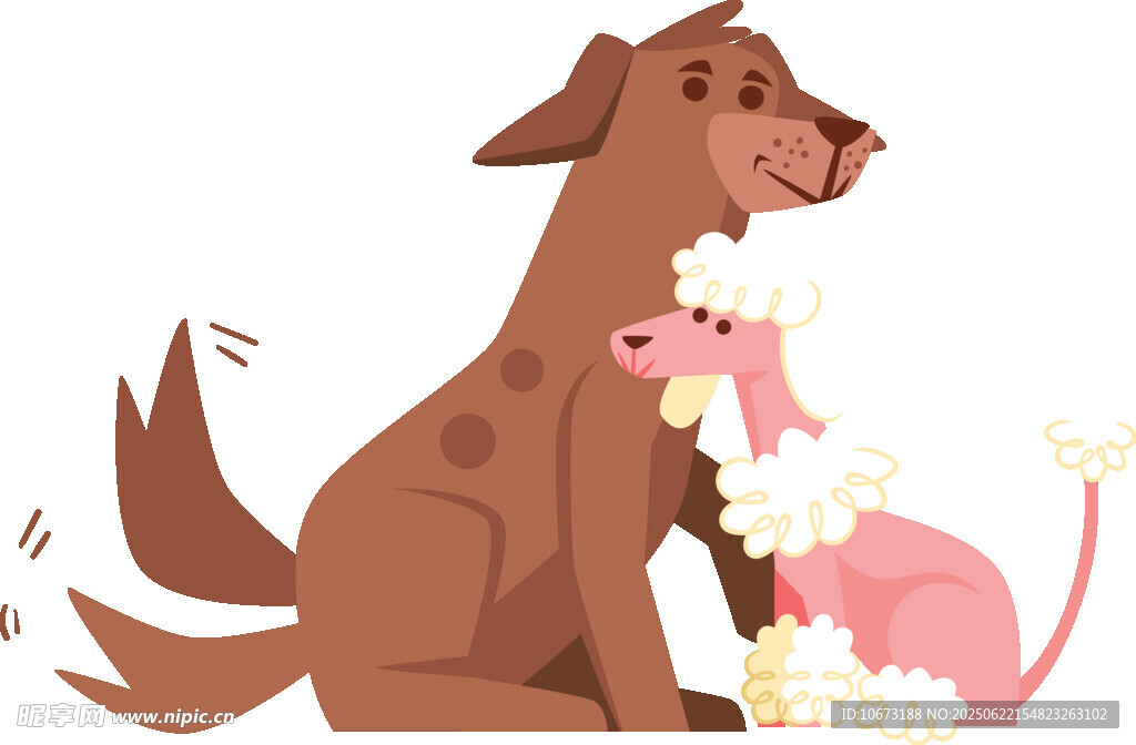 狗狗与猫咪温馨共处画面