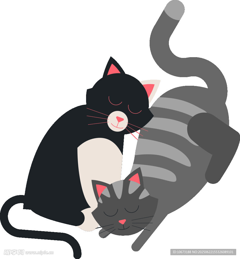 依偎的两只猫咪