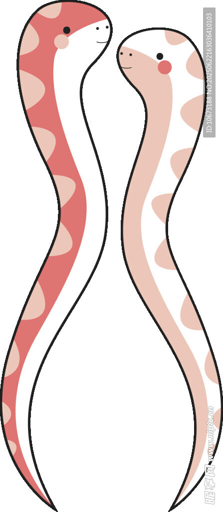 双尾蛇插画