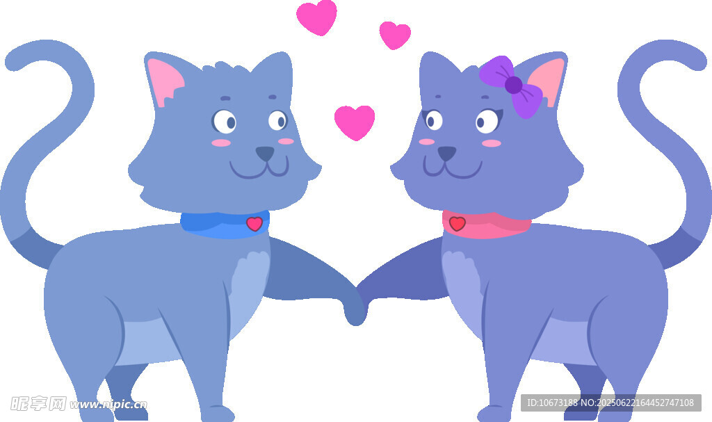 两只猫咪甜蜜牵手