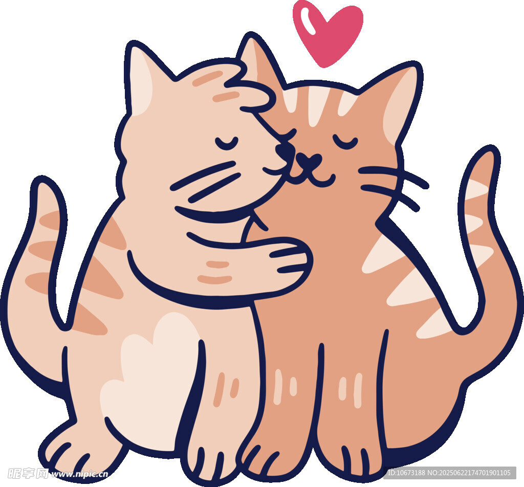 亲昵猫咪情侣