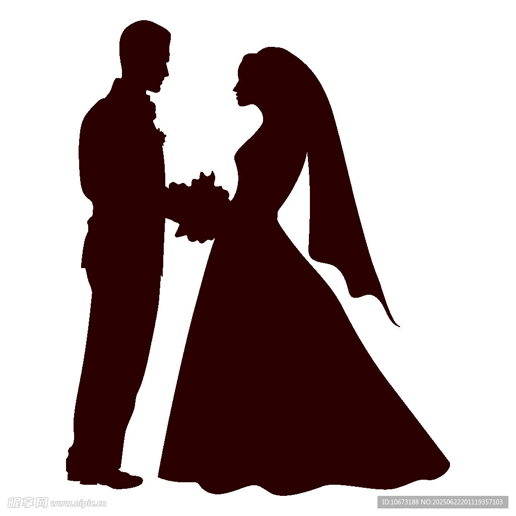新婚夫妇剪影