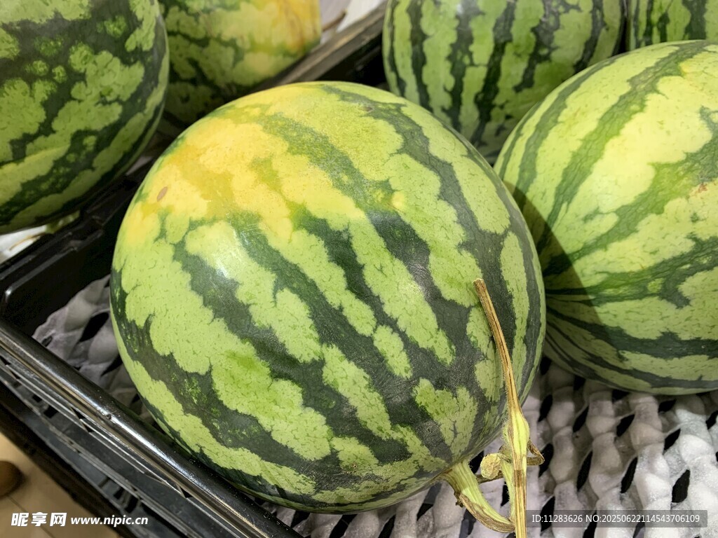 新鲜条纹西瓜陈列