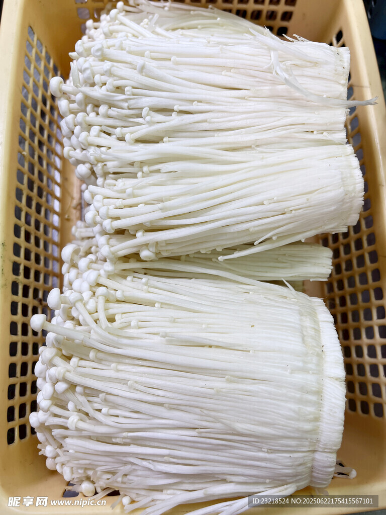 新鲜金针菇