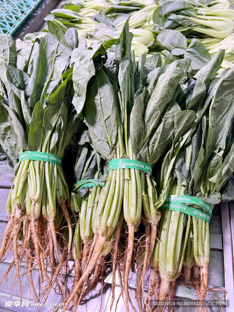 菠菜