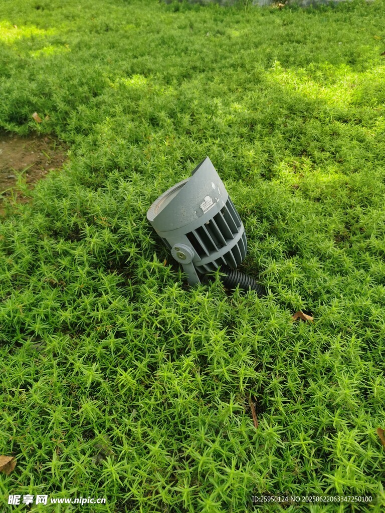 草地上的射灯