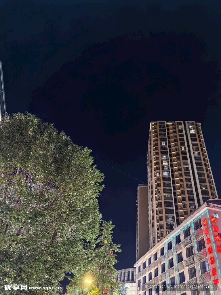 城市夜景中的高楼与绿树