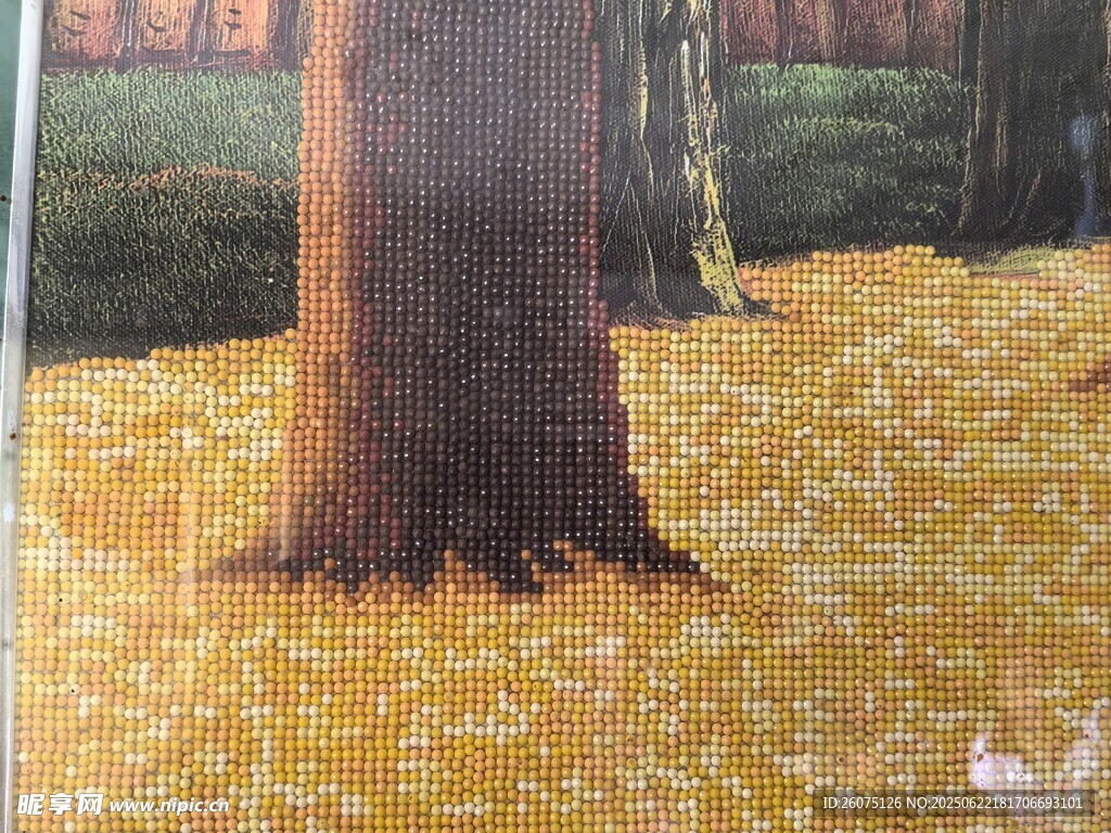树下金黄落叶美景
