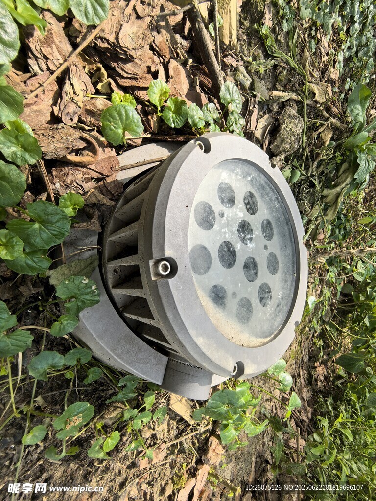 户外草地中的投射灯