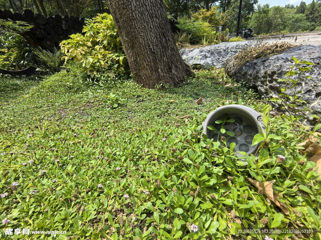树下草地中的金属物件