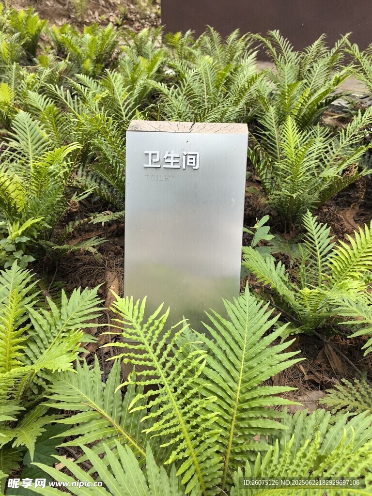 森林中的标识牌