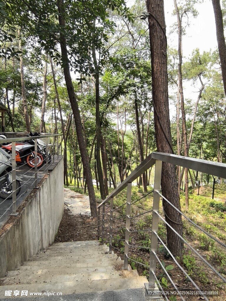 林间栈道