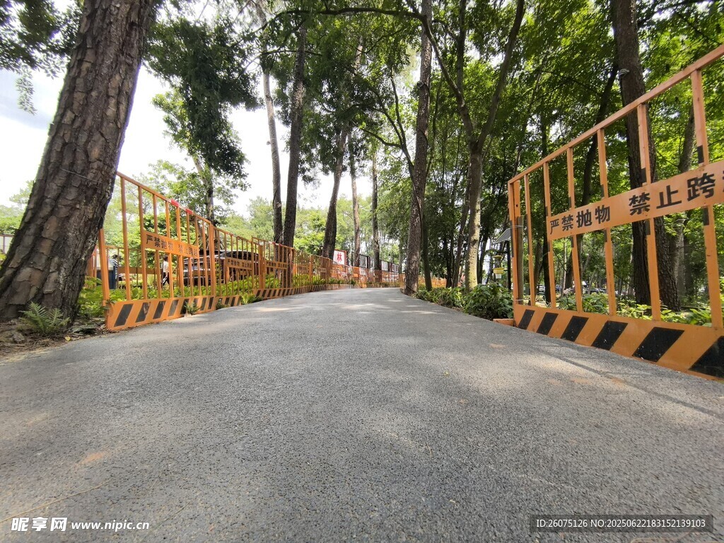 林间施工道路