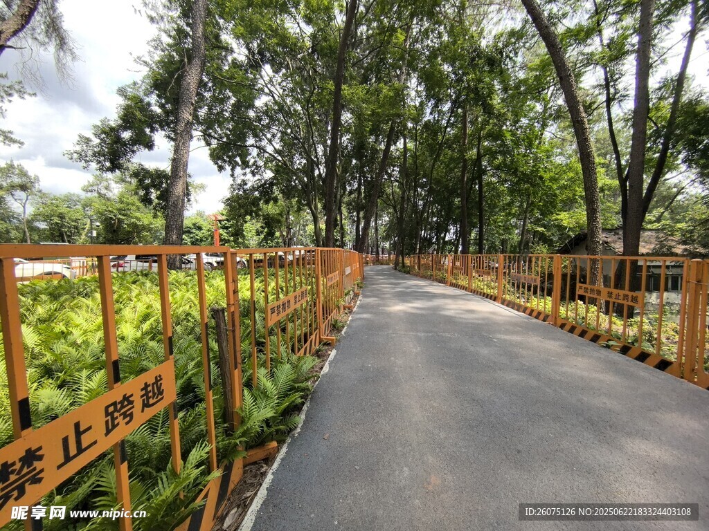 林间步道