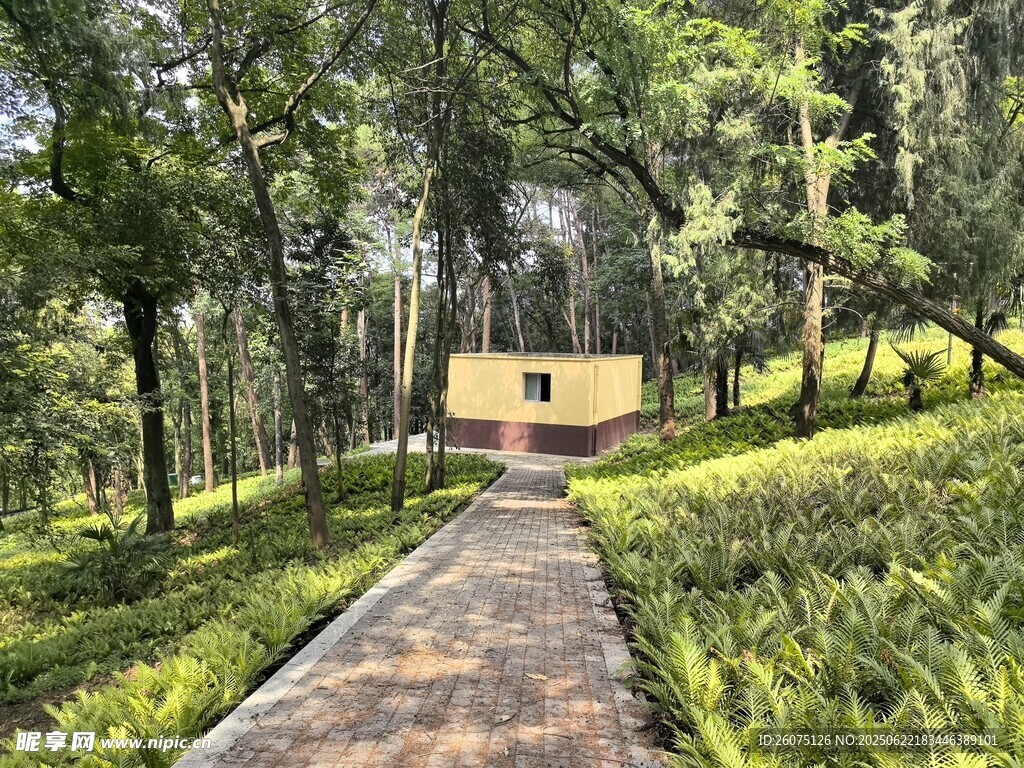 林间小径旁的温馨小屋